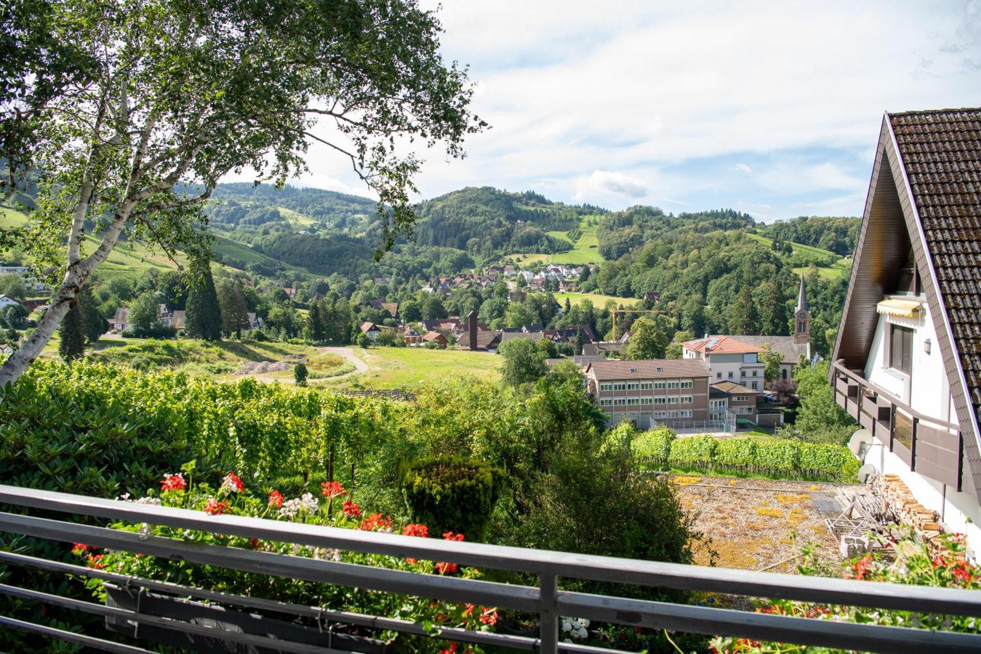 Renatas Stanel Apartment Sasbachwalden